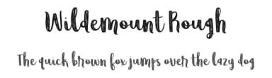 Wildemount Rough by Brittney Murphy Design — Script Handwritten Font — thumbnail 1