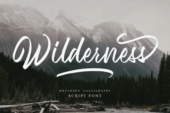 Wilderness Font by Geranium.co — Script Handwritten Font