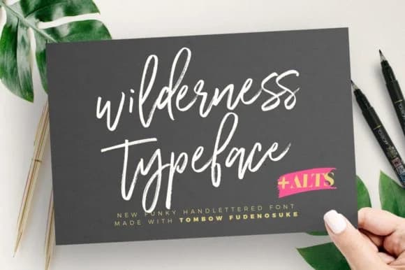 Wilderness Font by wornoutmedia by wornoutmedia — Script Handwritten Font