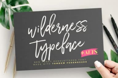 Wilderness Font by wornoutmedia by wornoutmedia — Script Handwritten Font — thumbnail 1