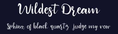Wildest Dream by DDLab — Script Handwritten Font — thumbnail 2