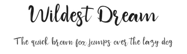 Wildest Dream by DDLab — Script Handwritten Font