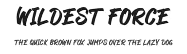 Wildest Force by Kotak Kuning Studio — Script Handwritten Font — thumbnail 1