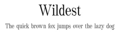 Wildest by Gholib Tammami — Serif Font — thumbnail 1
