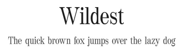 Wildest by Gholib Tammami — Serif Font