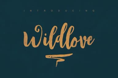 Wildlove Font by JumboDesign — Script Handwritten Font — thumbnail 4