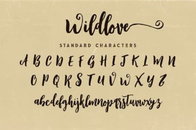 Wildlove Font by JumboDesign — Script Handwritten Font — thumbnail 6
