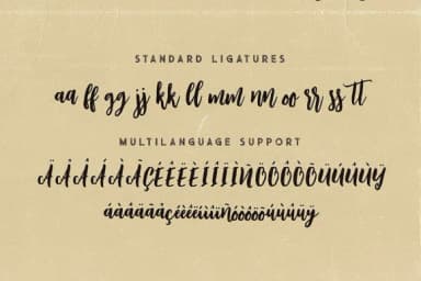 Wildlove Font by JumboDesign — Script Handwritten Font — thumbnail 8