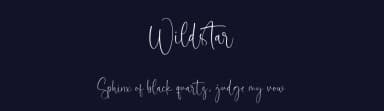 Wildstar by Letterative Studio — Script Handwritten Font — thumbnail 2
