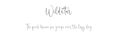 Wildstar by Letterative Studio — Script Handwritten Font — thumbnail 1