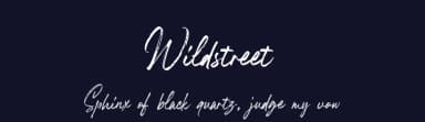 Wildstreet by Runsell Studio — Script Handwritten Font — thumbnail 2
