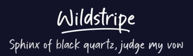 Wildstripe by Ef Studio — Script Handwritten Font — thumbnail 2