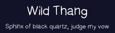 Wild Thang by Xerographer Fonts — Script Handwritten Font — thumbnail 2