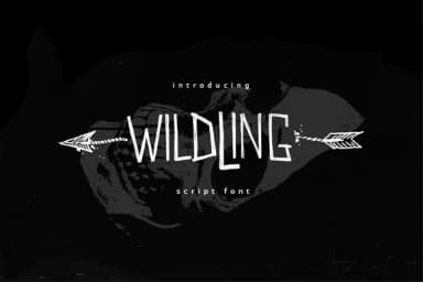 Wildwildling Font by bestee fakin houwer — Script Handwritten Font — thumbnail 1