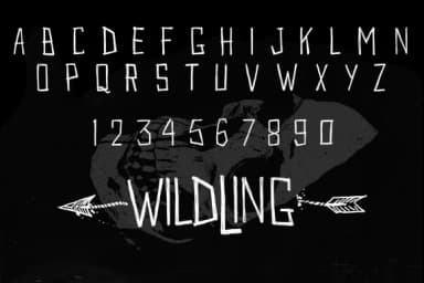 Wildwildling Font by bestee fakin houwer — Script Handwritten Font — thumbnail 4