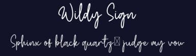 Wildy Sign by Dikas Studio — Script Handwritten Font — thumbnail 2