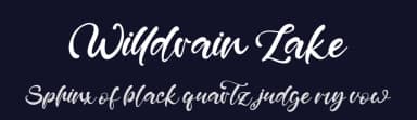 Willdrain Lake by Staircase Studio — Script Handwritten Font — thumbnail 2