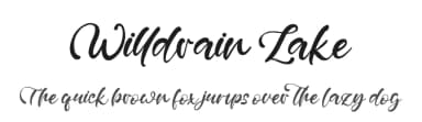 Willdrain Lake by Staircase Studio — Script Handwritten Font — thumbnail 1