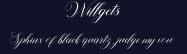 Willgets by Soft Creative — Script Handwritten Font — thumbnail 2