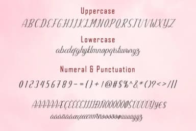 William Font by parawtype by parawtype — Script Handwritten Font — thumbnail 7