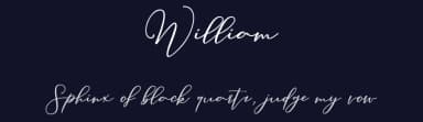 William by Aqeela Studio — Script Handwritten Font — thumbnail 2