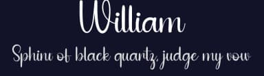 William by Belina Studio — Script Handwritten Font — thumbnail 2