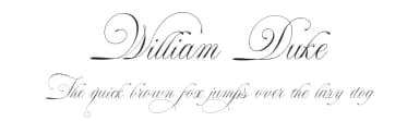 William Duke by alcode — Script Handwritten Font — thumbnail 1