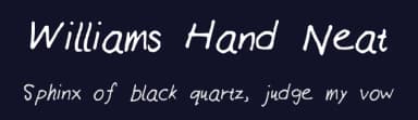 Williams Hand Neat by Meaghan Wong — Script Handwritten Font — thumbnail 2