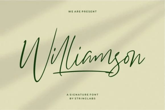 Williamson Font by StringLabs — Script Handwritten Font