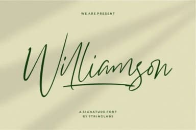 Williamson Font by StringLabs — Script Handwritten Font — thumbnail 1