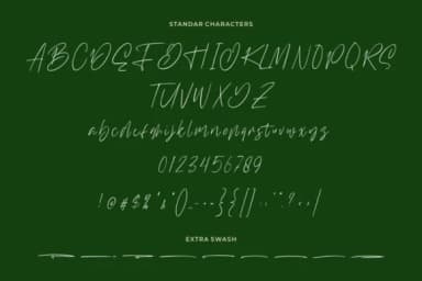 Williamson Font by StringLabs — Script Handwritten Font — thumbnail 7