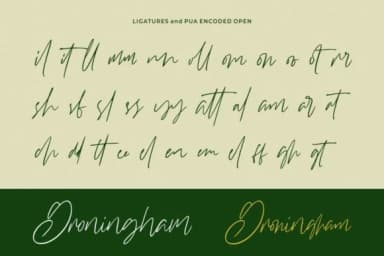 Williamson Font by StringLabs — Script Handwritten Font — thumbnail 8
