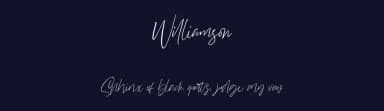 Williamson by StringLabs Creative Studio — Script Handwritten Font — thumbnail 2
