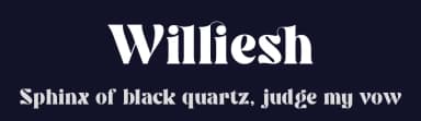 Williesh by Almarkhatype — Serif Font — thumbnail 2