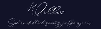 Willis by Four Lines — Script Handwritten Font — thumbnail 2