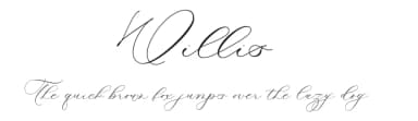 Willis by Four Lines — Script Handwritten Font — thumbnail 1