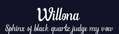 Willona by Haksen Studio — Script Handwritten Font — thumbnail 2