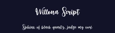 Willona Script by Bandit handmade — Script Handwritten Font — thumbnail 2