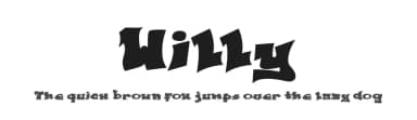 Willy by Display Studio — Script Handwritten Font — thumbnail 1