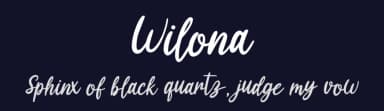 Wilona by Graphix Line Studio — Script Handwritten Font — thumbnail 2