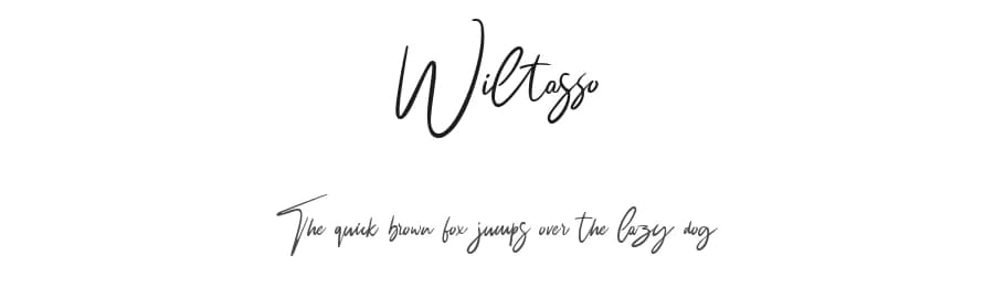 Wiltasso by Amir Subqi Setiaji — Script Handwritten Font