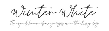 Wimter White by Kong Font — Script Handwritten Font — thumbnail 1