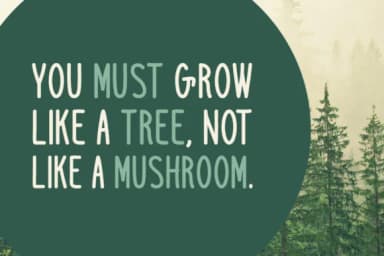 Windbreak Font by Spanking Fonts — Script Handwritten Font — thumbnail 4