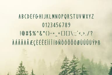 Windbreak Font by Spanking Fonts — Script Handwritten Font — thumbnail 5
