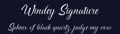 Windey Signature by Din Studio — Script Handwritten Font — thumbnail 2