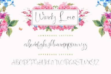 Windy Love Font by famco.typefoundry — Script Handwritten Font — thumbnail 3