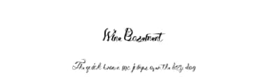 Wine Basement by Xerographer Fonts — Script Handwritten Font — thumbnail 1