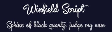 Winfield Script by Måns Grebäck — Script Handwritten Font — thumbnail 2