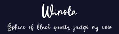 Winola by Typefactoryco — Script Handwritten Font — thumbnail 2