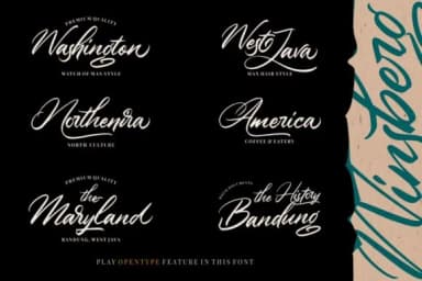 Winsberg Font by Garisman Studio — Script Handwritten Font — thumbnail 3